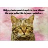 Tabulka JSEM NORMÁLNÍ - KOČKA
