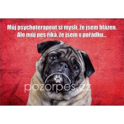 Tabulka  JSEM NORMÁLNÍ - PES