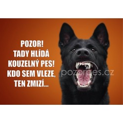 Tabulka KOUZELNÝ PES hliník