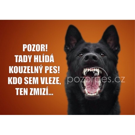 Tabulka KOUZELNÝ PES hliník