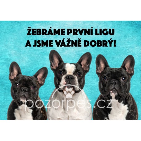 Tabulka ŽEBRÁNÍ hliník