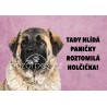Tabulka ROZTOMILÁ HOLČIČKA