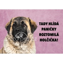Tabulka ROZTOMILÁ HOLČIČKA hliník