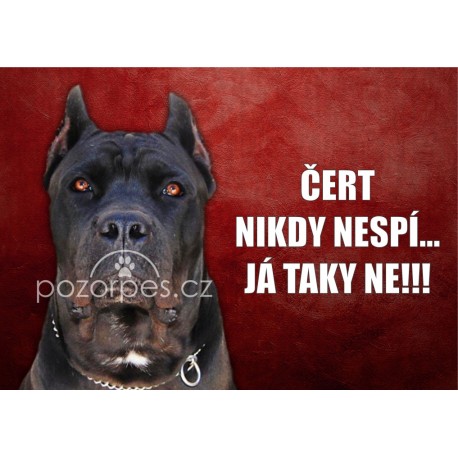 Tabulka ČERT NIKDY NESPÍ hliník