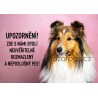Labradorský retrívr černý - Po vstupu