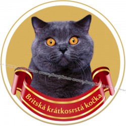 BRITSKÁ KRÁTKOSRSTÁ KOČKA- samolepa na auto19cm/3ks