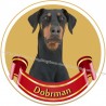 DOBRMAN - samolepa na auto19cm