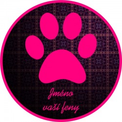 JMÉNO PSA/FENY NA PŘÁNÍ- Samolepka na auto 3ks