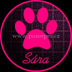 SÁRA - Samolepka na auto 3ks
