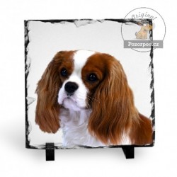 Foto kámen z břidlice čtverec