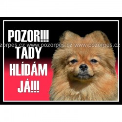 Pomeranian - Německý špic trpasličí