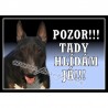 Anglický bulteriér tmavý