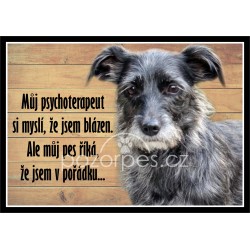 Tabulka  JSEM NORMÁLNÍ - PES