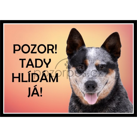 Australský honácký pes