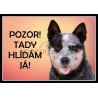 Australský honácký pes