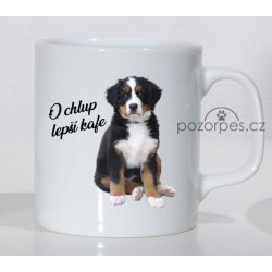 Bernský salašnický pes - "O chlup lepší kafe"