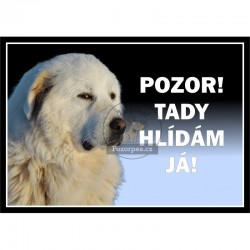 Pyrenejský horský pes