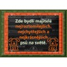 NEJ PSI univ.