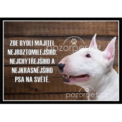 Tabulka NEJ PES na míru